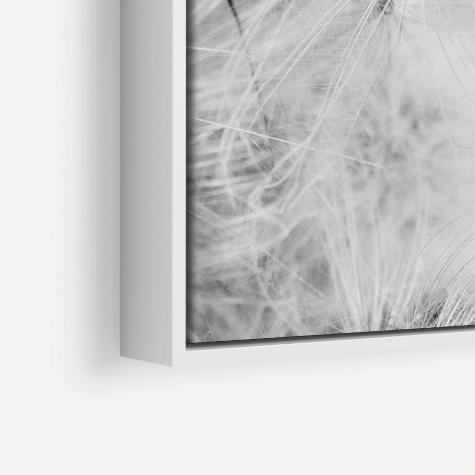 Obraz w ramie 80x120 - Zdmuchnięty Puch - dmuchawce, delikatne - rama biała