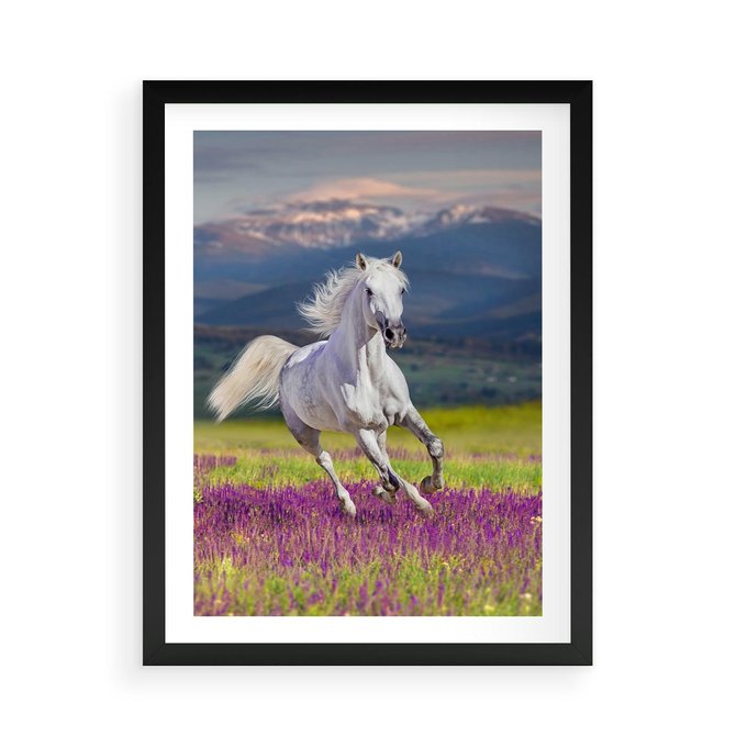 Plakat w ramie 50x70 - Koń Góry: Spotkanie z Wielką Przyrodą - koń, góry - rama czarna