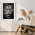 Plakat bez ramy 30x40 - Tygrys Czarno-Biały: Siła i Delikatność - tygrys, czarno
