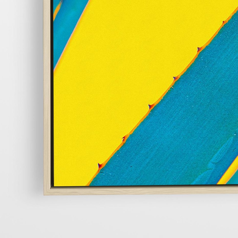 Obraz w ramie 70x50 - Świeżość Natury - aloes, liście - rama drewno