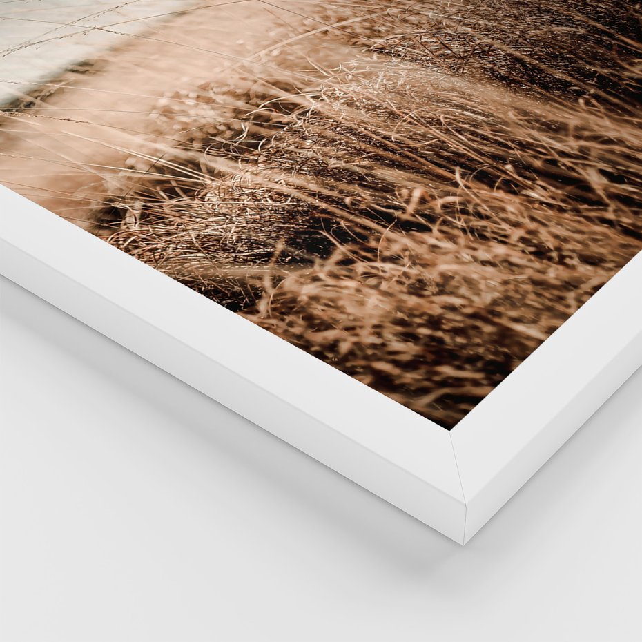 Zestaw obrazy w ramie 50x70 galeria - Latarnia, ścieżka, suche, trawy, boho, lato - rama biała