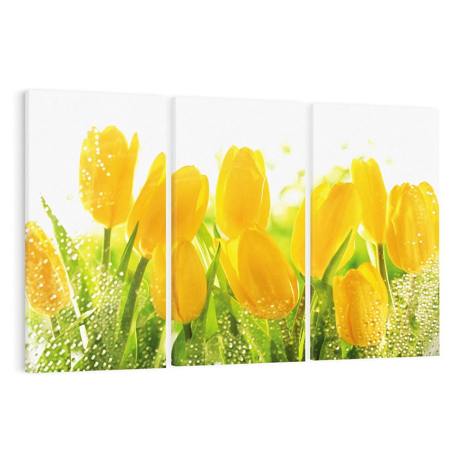 Obraz na płótnie 120x80 - Tulipany - szczyt kwiatowego piękna - tulipany, kwiaty