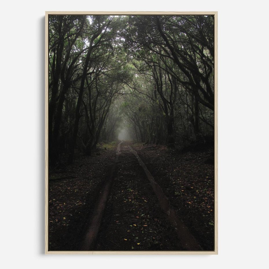 Obraz w ramie 50x70 - Urok Drogi - las, droga - rama drewno