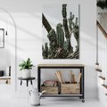 Obraz na płótnie 70x100 - Boho oaza wśród kaktusów - kaktusy, pustynia