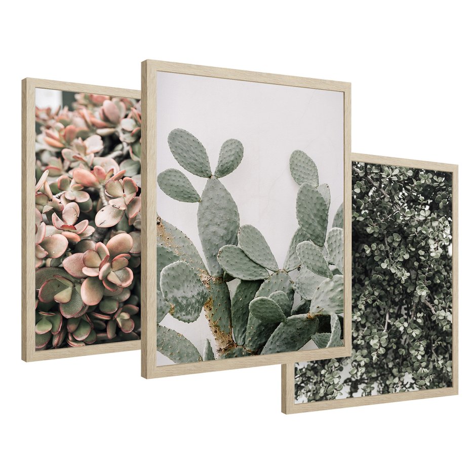 Zestaw obrazy w ramie 40x50 galeria - Rośliny, liście, kaktusy - rama drewno