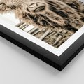 Plakat w ramie 30x40 - Klimat Wiejskiego Życia - amerykańska krowa, byk - rama czarna