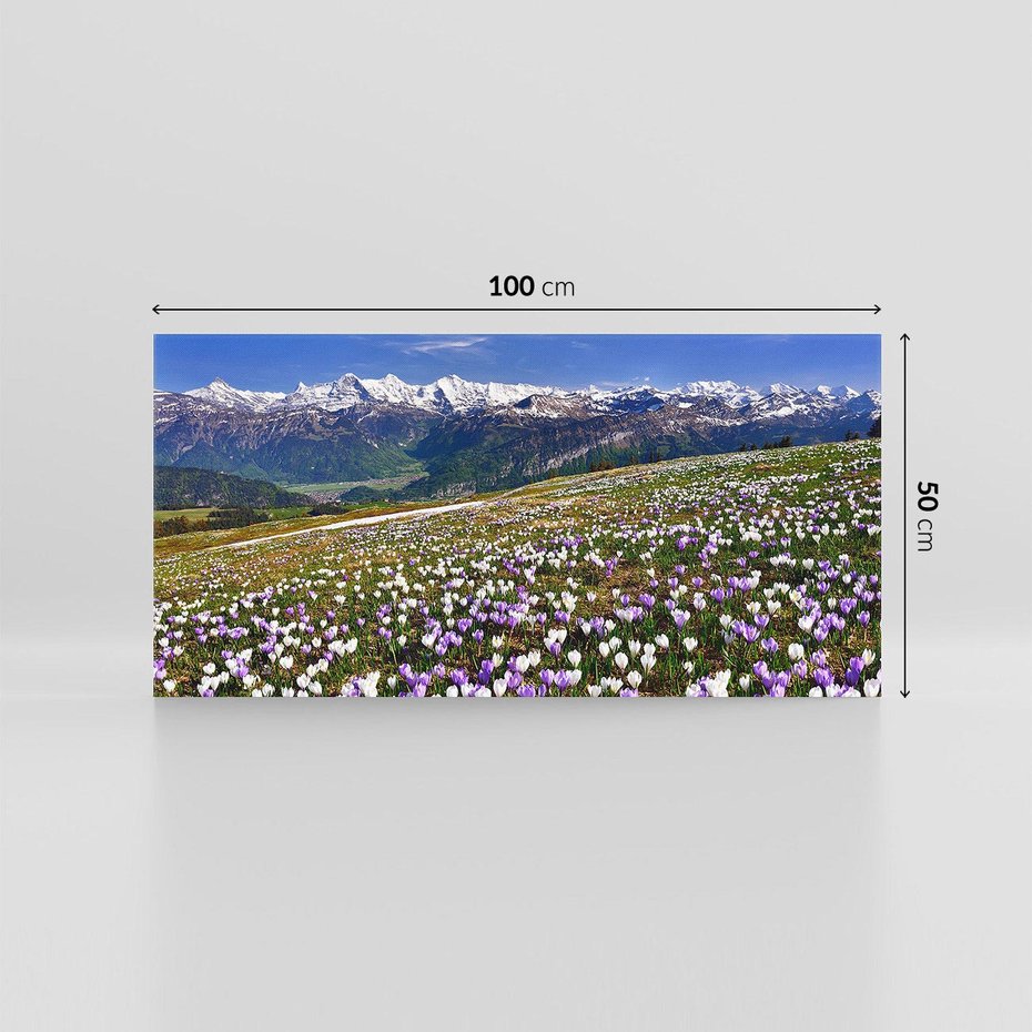 Obraz na płótnie 100x50 - Wiosenne Czarowanie - krokusy, góry