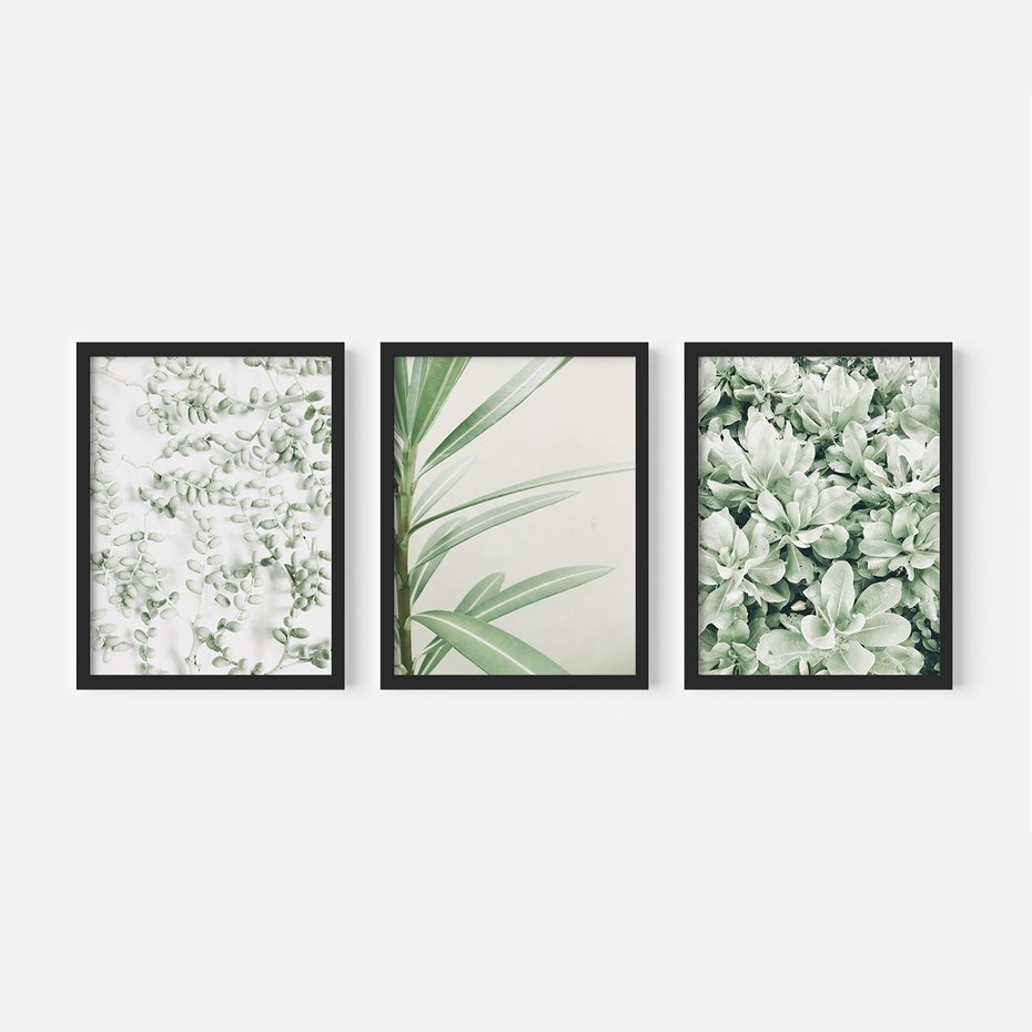 Zestaw obrazy w ramie 40x50 galeria - Liście, zieleń, minimalizm - rama czarna