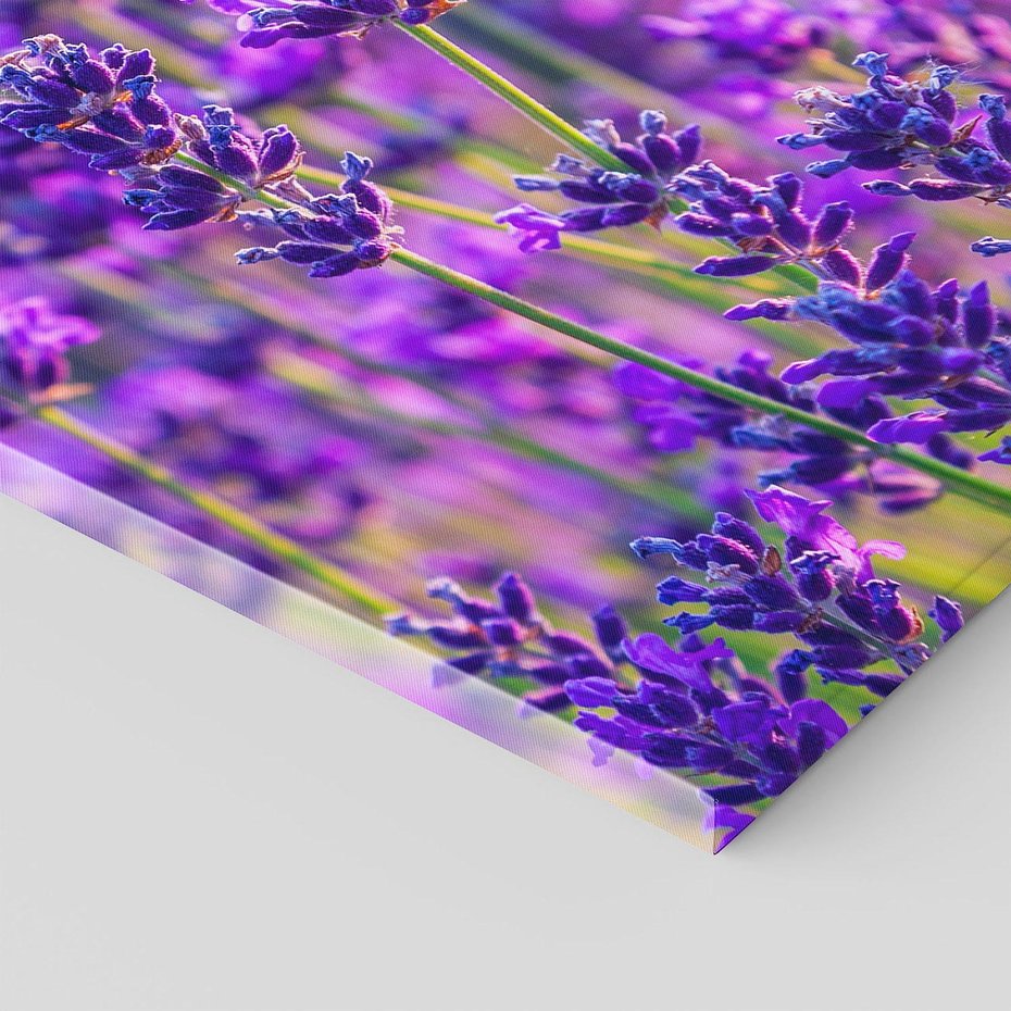 Obraz na płótnie 50x70 - Zaklęta lawenda - lawenda, kwiaty