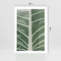 Plakat bez ramy 50x70 - Zielone Wielkości: Zbliżenie Liścia - zbliżenie duz liść, jasna zieleń