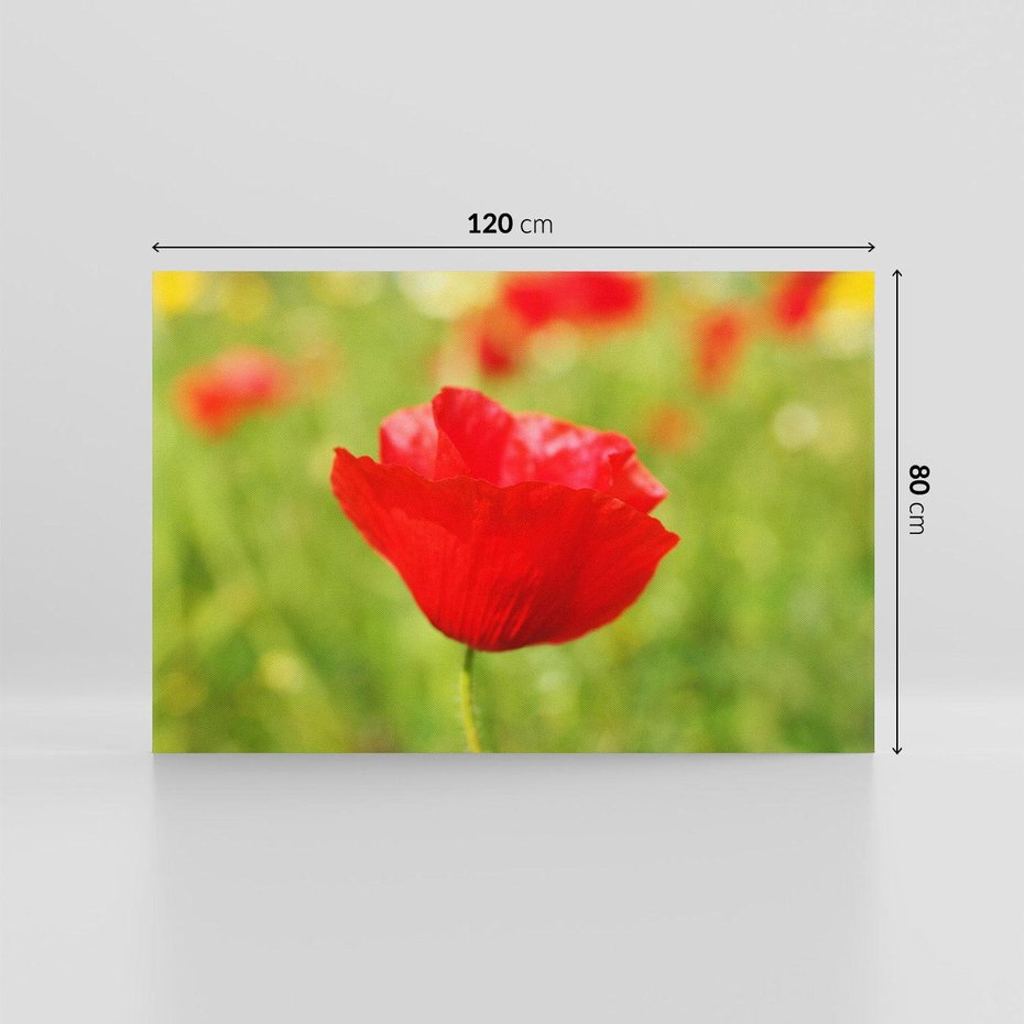Obraz na płótnie 120x80 - Magia maku na łące - mak, łąka