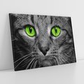 Obraz na płótnie 120x80 - Przestreń nautra doznania - kot, kotek