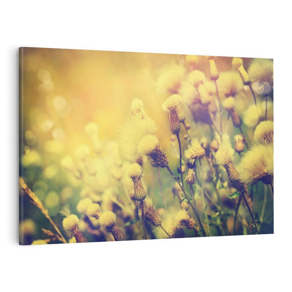 Obraz na płótnie 120x80 - Natura w pełnym rozkwicie - łąka, natura