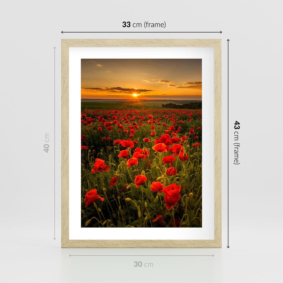 Plakat w ramie 30x40 - Maki przy zachodzie słońca - maki, zachód - rama drewno