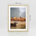 Plakat w ramie 30x40 - Malownicza Harmonia - jelenie, jesień - rama drewno