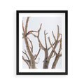 Plakat w ramie 40x50 - Pustynna Harmonia Gałęzi - pustynna roślina, suche gałęzie - rama czarna