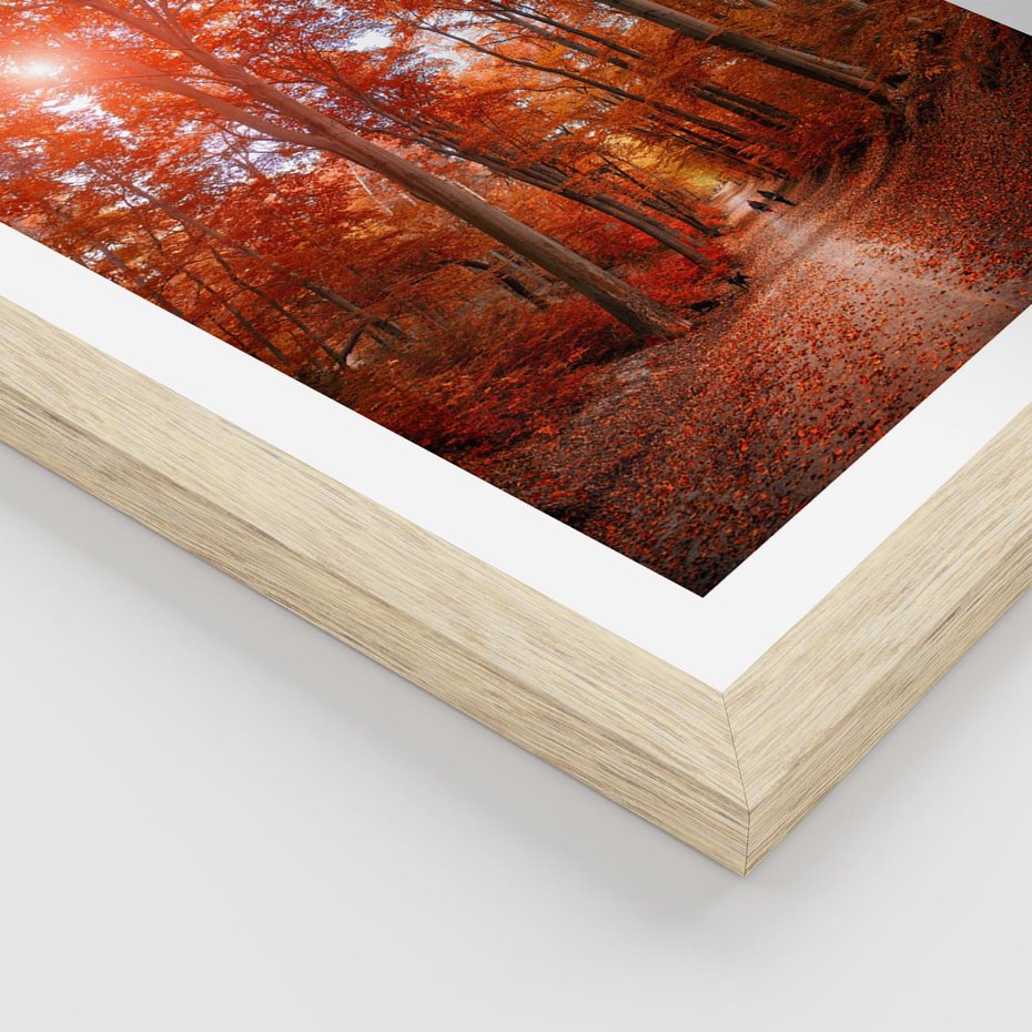 Plakat w ramie 30x40 - Magia jesiennego lasu - las, jesień - rama drewno