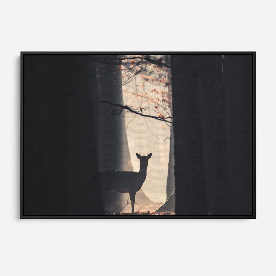 Obraz w ramie 70x50 - Sarnie Skoki - zdjęcie, klimatyczny las - rama czarna