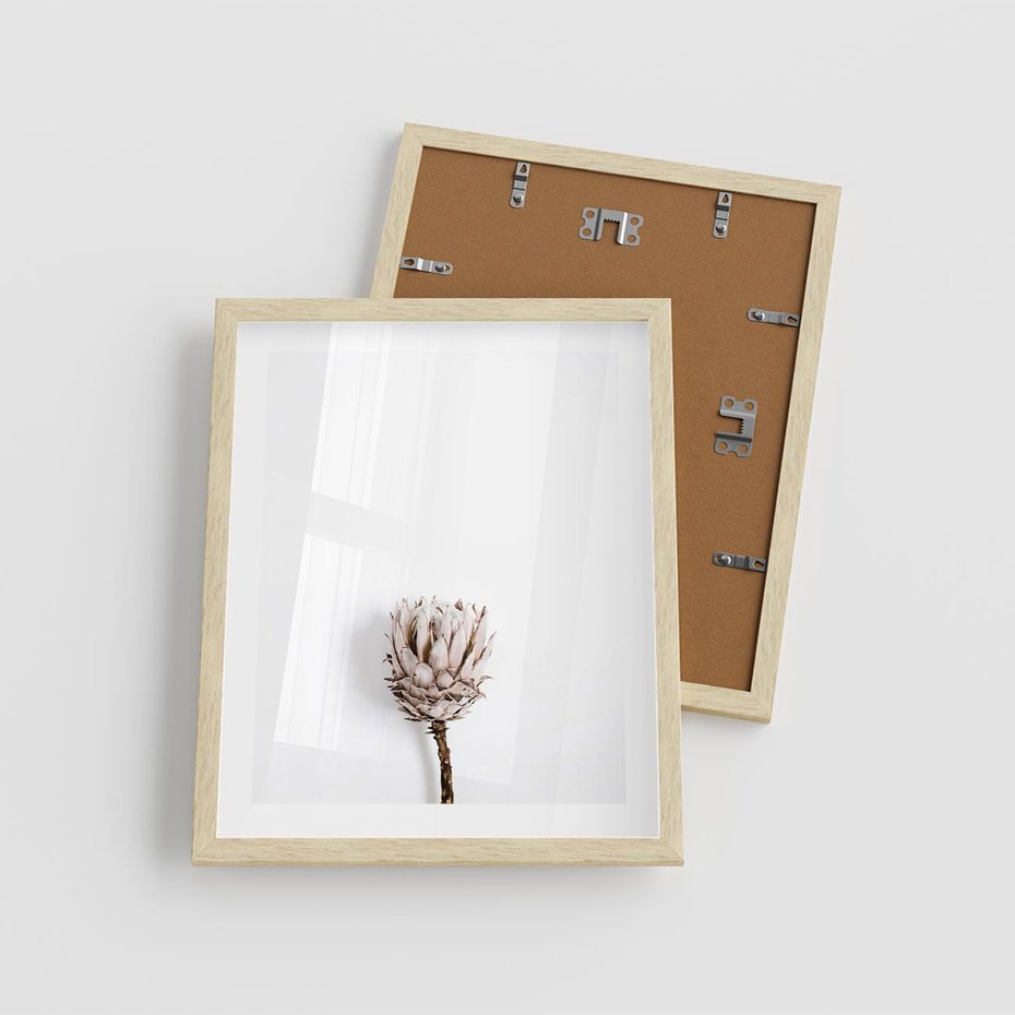 Plakat w ramie 40x50 - Suszona Roślina na Białym Tle - minimalizm, suszona roślina - rama drewno