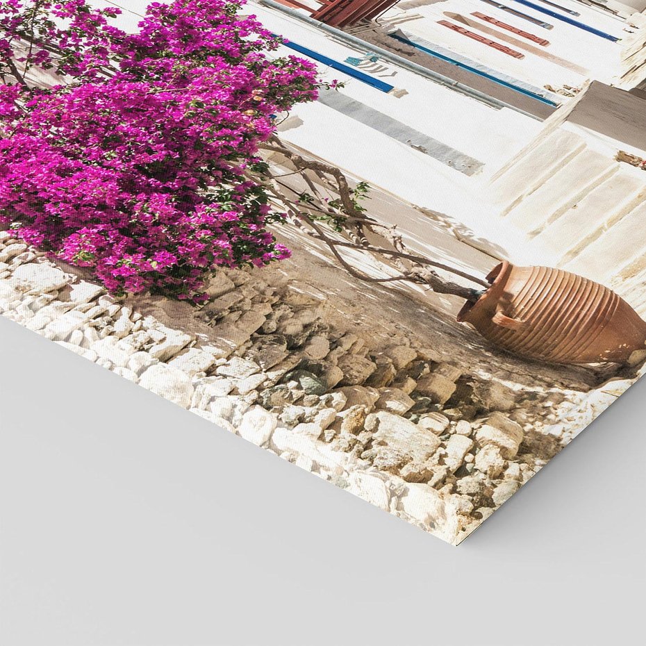 Obraz na płótnie 40x40 - Kwiaty Chorwacji - kwiaty, Chorwacja