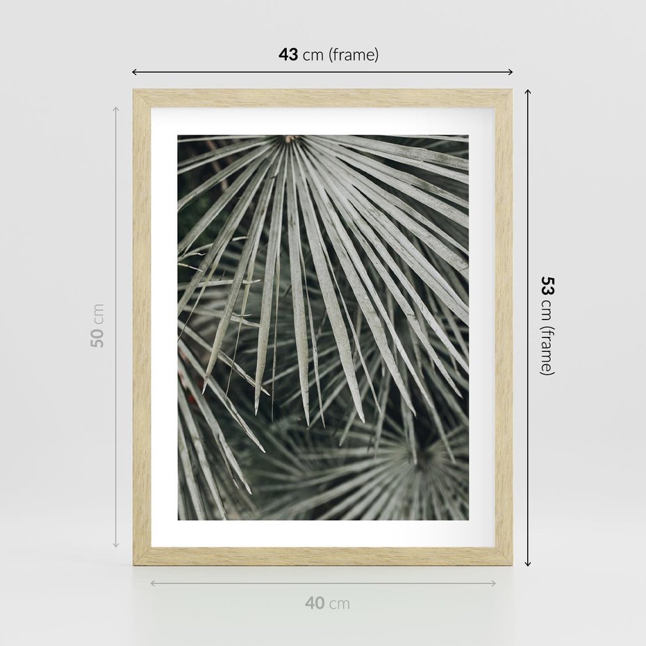 Plakat w ramie 40x50 - Ujęcie Tropikalnej Natury - palmy, liście palmy - rama drewno