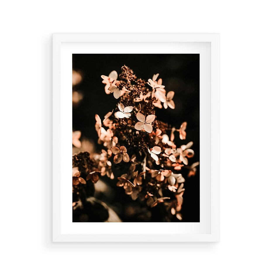 Plakat w ramie 40x50 - Hortensja - Suchy Kwiat w Sztuce - hortensja, suchy kwiat - rama biała