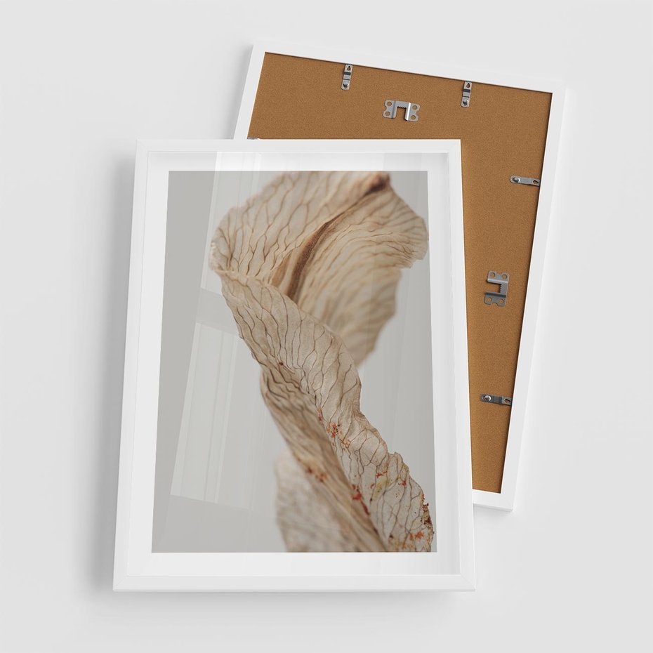 Plakat w ramie 50x70 - Suszone piękno - susz, suche - rama biała