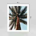 Plakat bez ramy 40x50 - Rajskie Inspiracje: Palma na Niebie - palma, na tle nieba