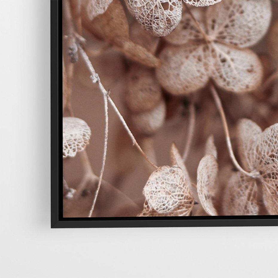 Obraz w ramie 70x100 - Przemijająca Piękność - fotografia, zbliżenie - rama czarna