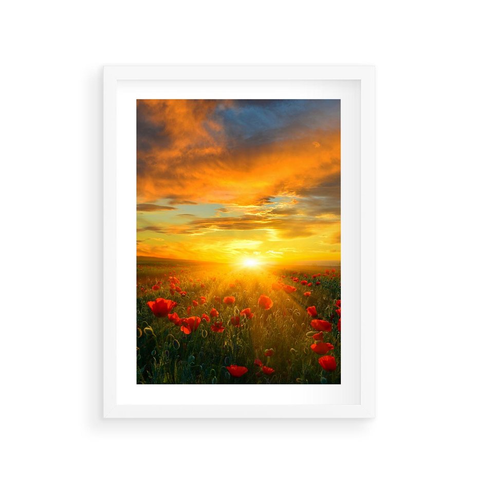 Plakat w ramie 30x40 - Magia zachodu słońca na łące z makami - łąka, zachód słońca - rama biała
