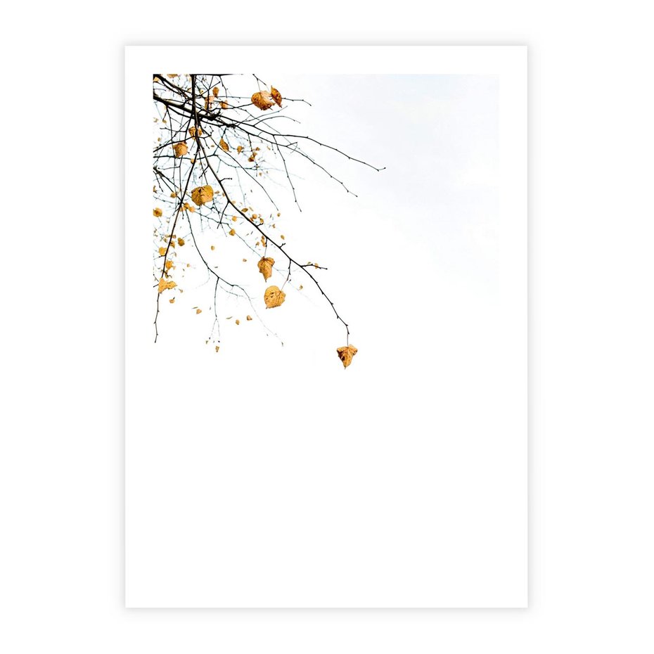 Plakat bez ramy 30x40 - Złota Jesień - drzewo, żółte liście