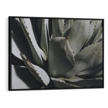 Obraz w ramie 70x50 - Sukulenty wśród kaktusów - sukulenty, kaktusy - rama czarna