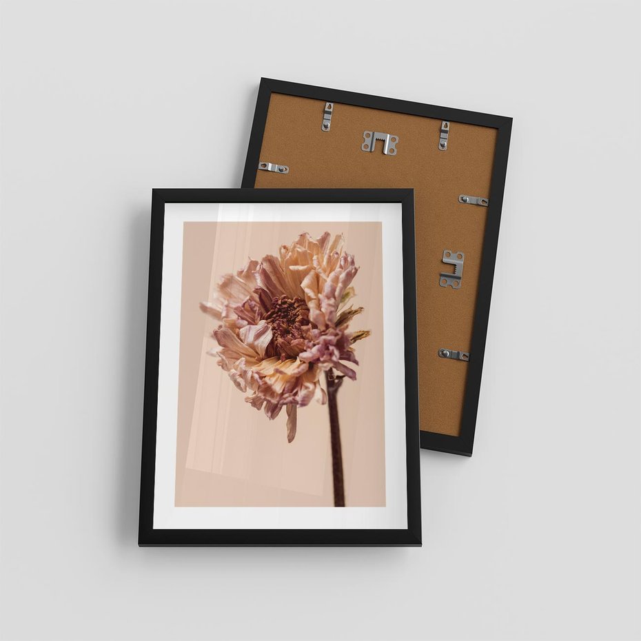 Plakat w ramie 30x40 - Delikatne piękno - suche, kwiaty - rama czarna