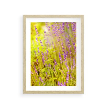 Plakat w ramie 40x50 - Delikatność natury - lawenda, kwiaty - rama drewno