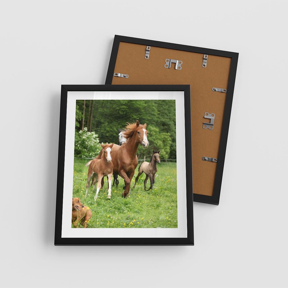 Plakat w ramie 40x50 - Galopujące konie - konie, galop - rama czarna