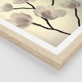 Plakat w ramie 40x50 - Elegancja Natury - magnolia, białe - rama drewno