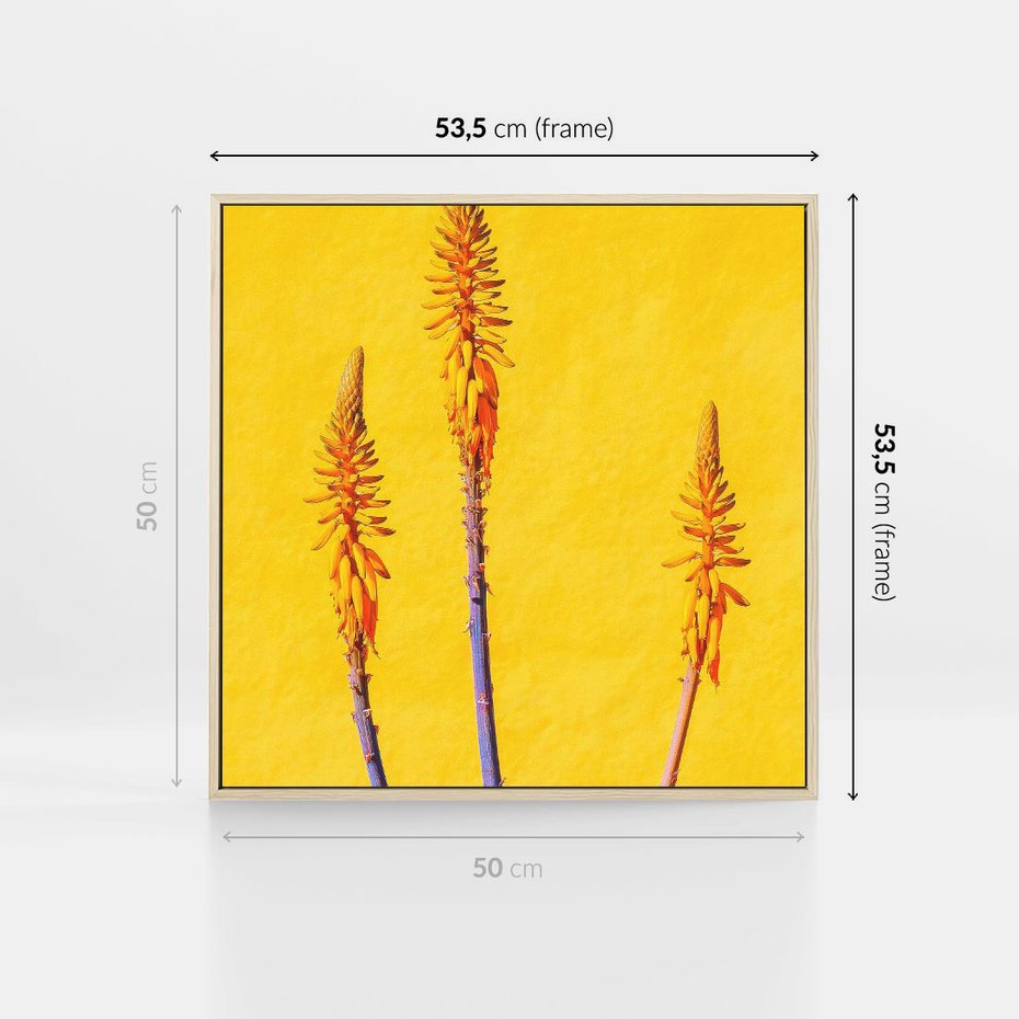 Obraz w ramie 50x50 - Radość Natury - kolor, kwiaty - rama drewno