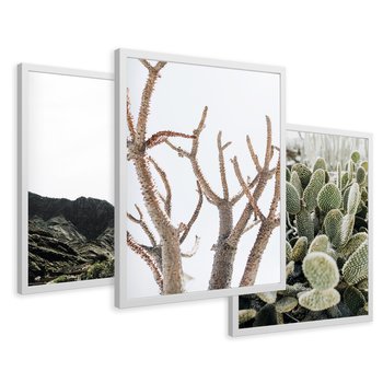 Zestaw obrazy w ramie 30x40 galeria - Pustynia, kaktusy, zieleń, boho - rama biała