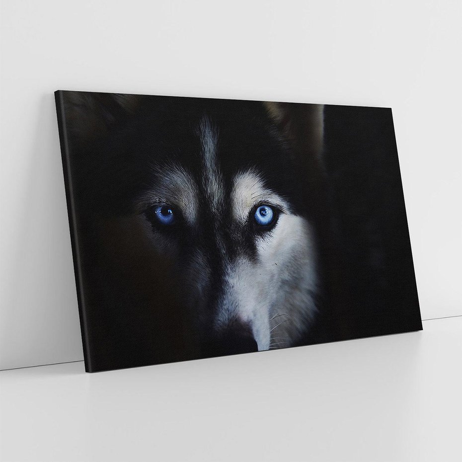 Obraz na płótnie 70x50 - Wilk i husky: siła przyjaźni - wilk, husky