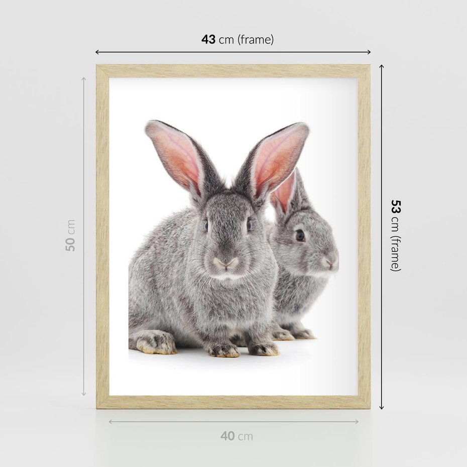 Plakat w ramie 40x50 - Uroczy królik wśród natury - królik, zając - rama drewno