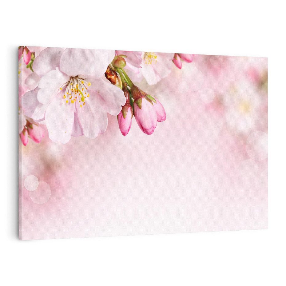 Obraz na płótnie 120x80 - Kwitnąca wiśnia: delikatność natury - kwitnąca, wiśnia