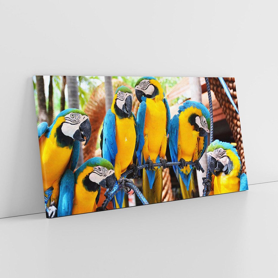 Obraz na płótnie 100x50 - Kolorowa parada papug - papuga, papugi