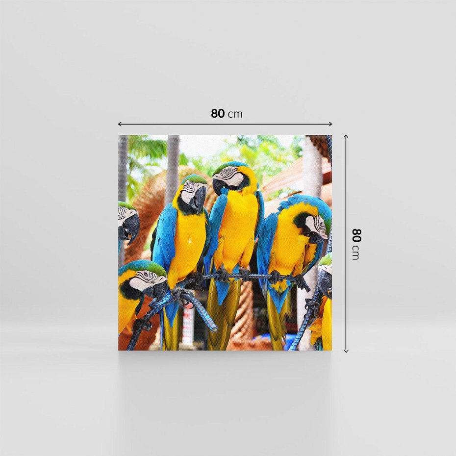 Obraz na płótnie 80x80 - Kolorowa parada papug - papuga, papugi