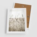 Plakat w ramie 50x70 - Nostalgiczny Pejzaż - suche trawy, pole - rama biała