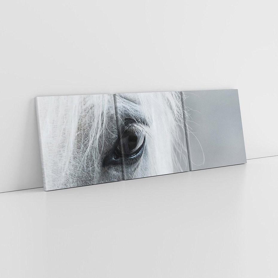 Obraz na płótnie 120x40 - Oko Mocy - czarno białe zdjęcie, zbliżenie makro na oko konia