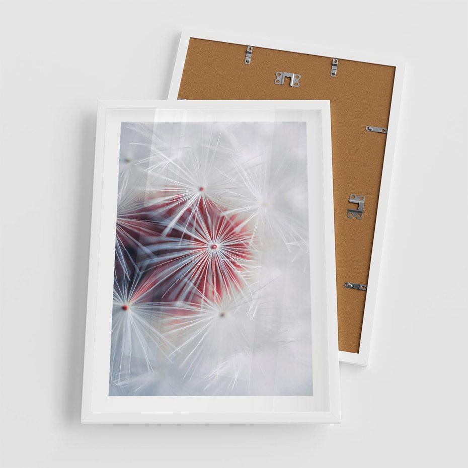 Plakat w ramie 50x70 - Minimalistyczna Delikatność - zbliżenie, dmuchawce - rama biała