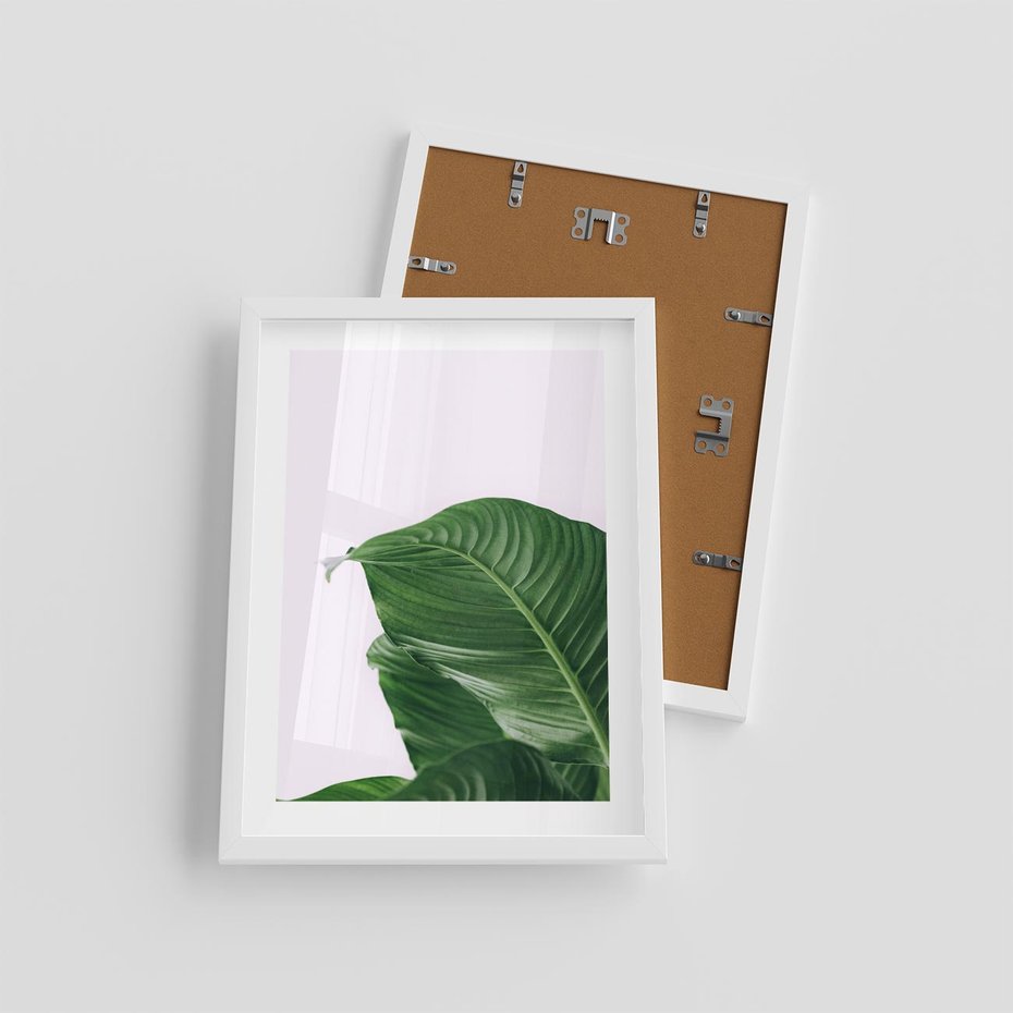 Plakat w ramie 30x40 - Zielone liście monstery - liście, monstera - rama biała