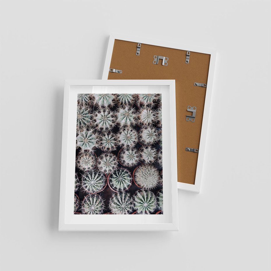 Plakat w ramie 30x40 - Wzór Kaktusów - kaktusy w doniczkach, ujęcie z góry - rama biała