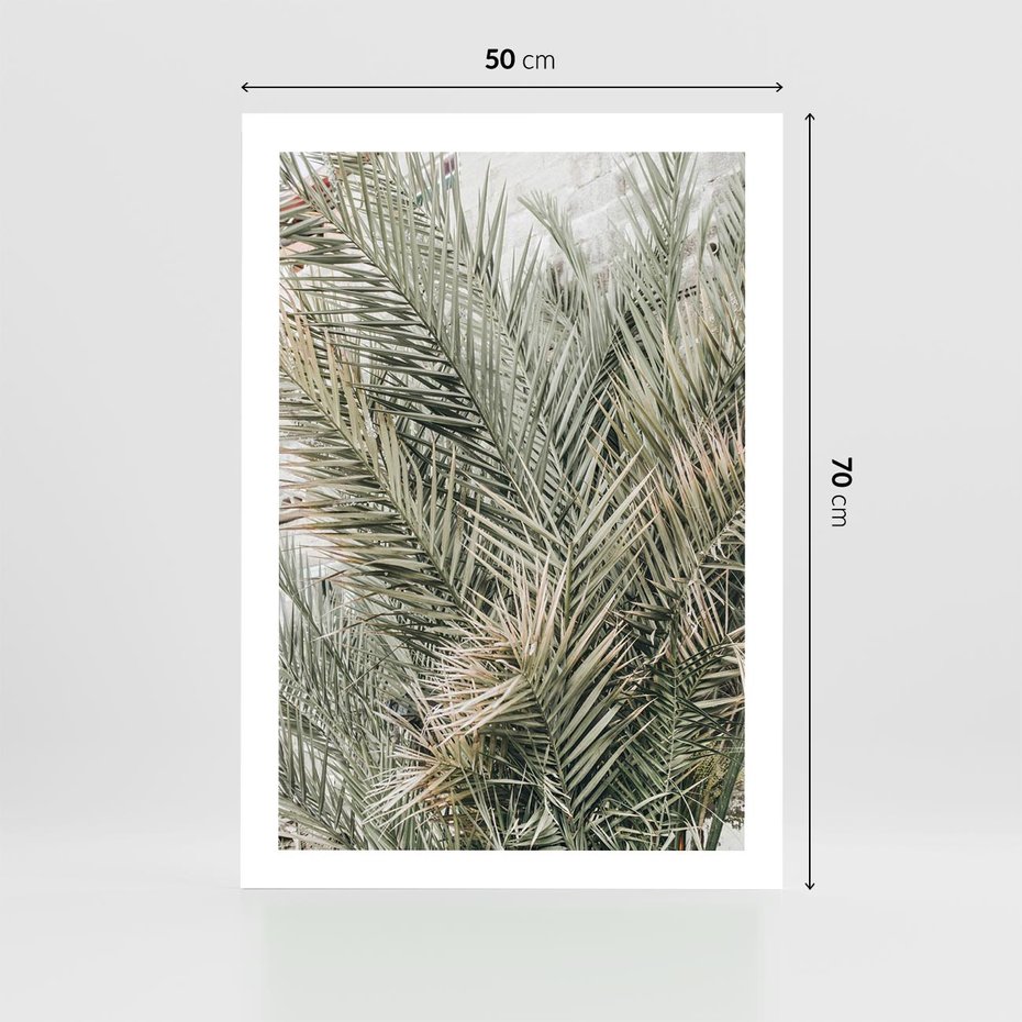 Plakat bez ramy 50x70 - Egzotyczny Świat Palm - palmy, liście palmy
