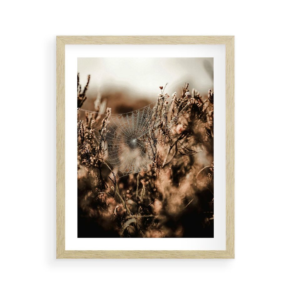 Plakat w ramie 40x50 - Jesienny Mikrokosmos - suchetrawy, jesienny klimat - rama drewno